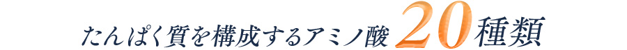 たんぱく質を構成するアミノ酸20種類