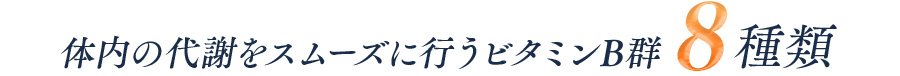 体内の代謝をスムーズに行うビタミンB郡8種類