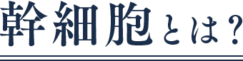 幹細胞とは？